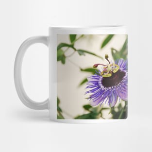 Purple Haze Passiflora Mug